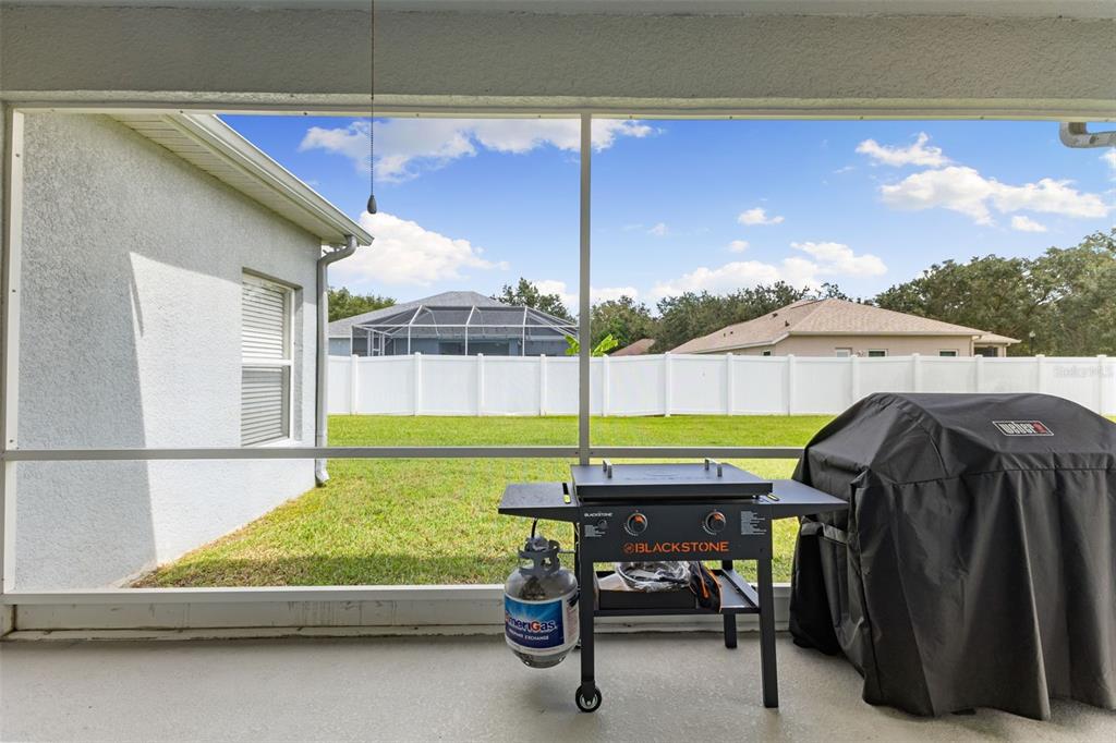 1005 Crystal Carbon Way Valrico, FL 33594 - Photo 24 of 42