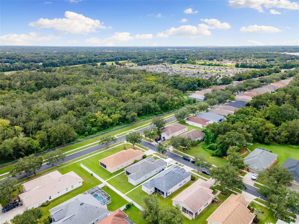 1005 Crystal Carbon Way Valrico, FL 33594 - Photo 31 of 42