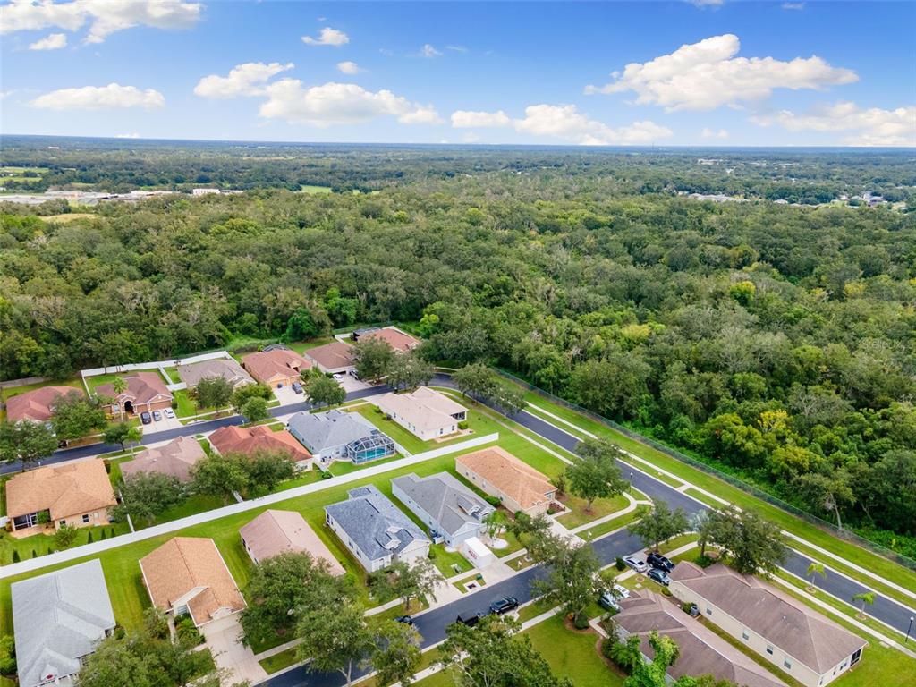 1005 Crystal Carbon Way Valrico, FL 33594 - Photo 36 of 42