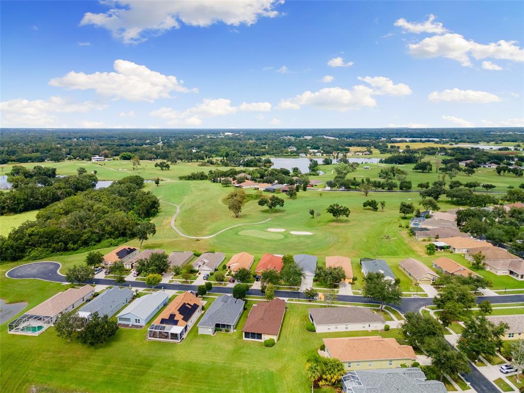1005 Crystal Carbon Way Valrico, FL 33594 - Photo 37 of 42