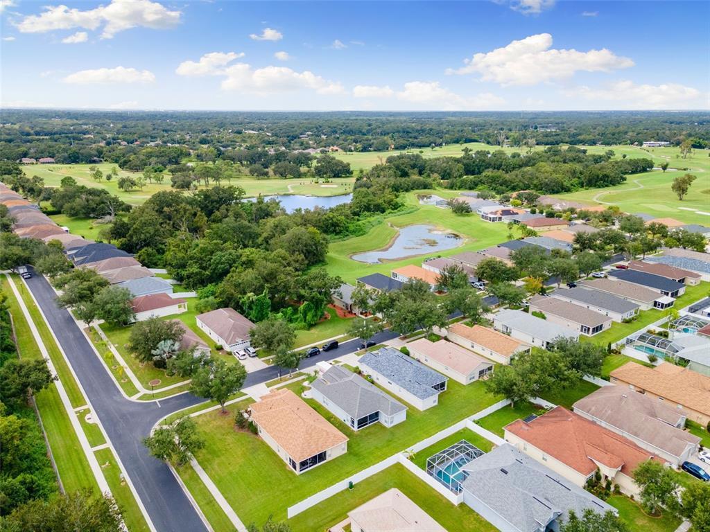1005 Crystal Carbon Way Valrico, FL 33594 - Photo 40 of 42