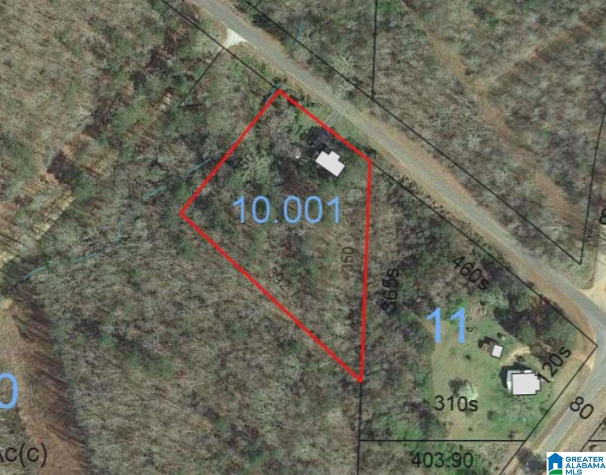 1100 McCollum Road Lineville, AL 36266 - Photo 16 of 16
