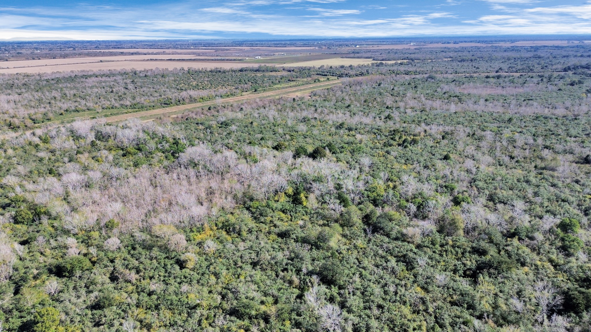 10 Fm 2403 Alvin, TX 77511 - Photo 11 of 48 a view of a yard with an outdoor space
