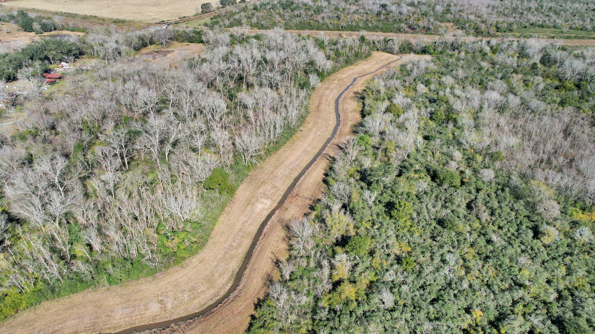 10 Fm 2403 Alvin, TX 77511 - Photo 14 of 48 a view of a lush green forest with a house