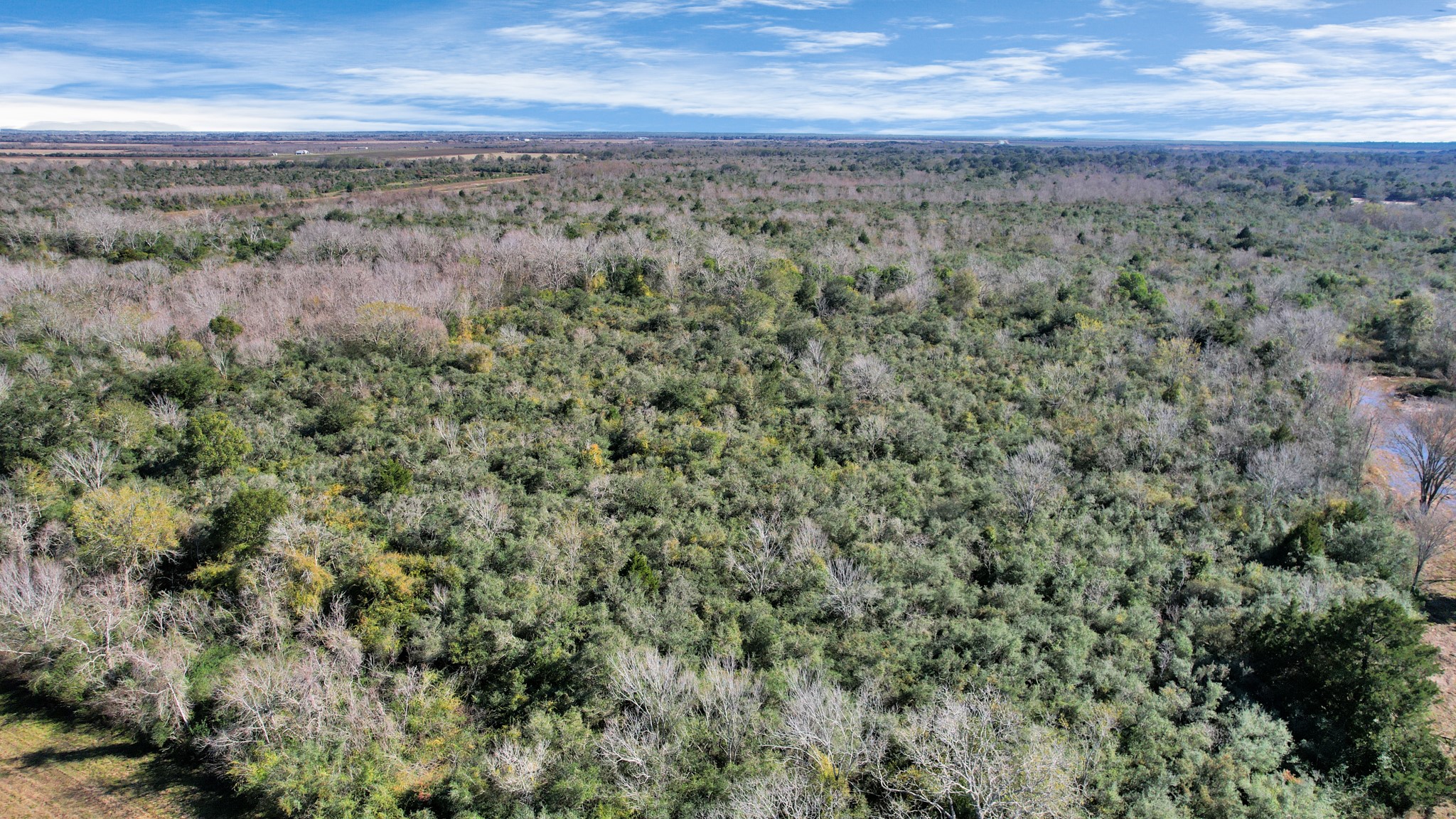 10 Fm 2403 Alvin, TX 77511 - Photo 17 of 48 a view of a field with trees