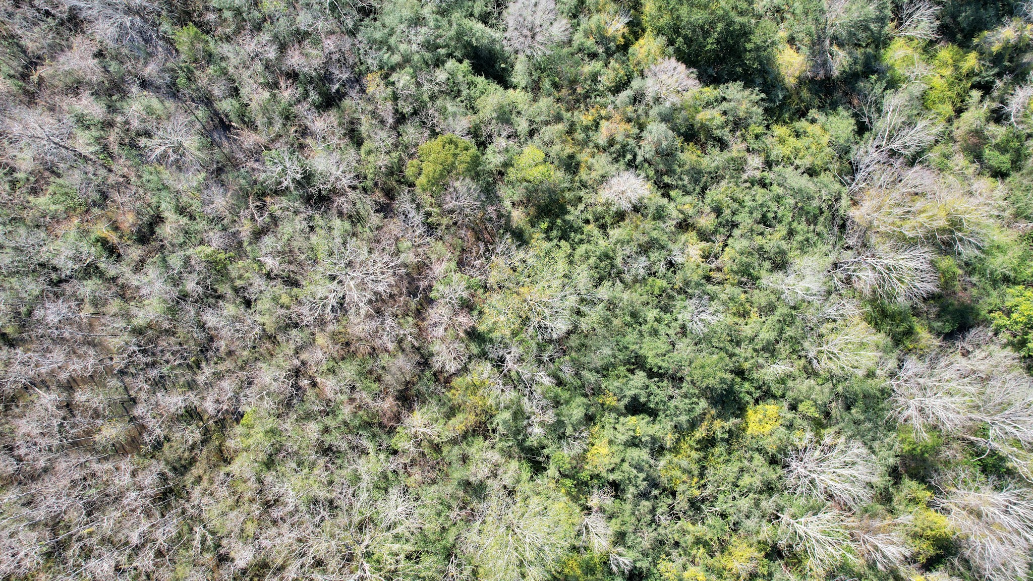 10 Fm 2403 Alvin, TX 77511 - Photo 28 of 48 a view of a field