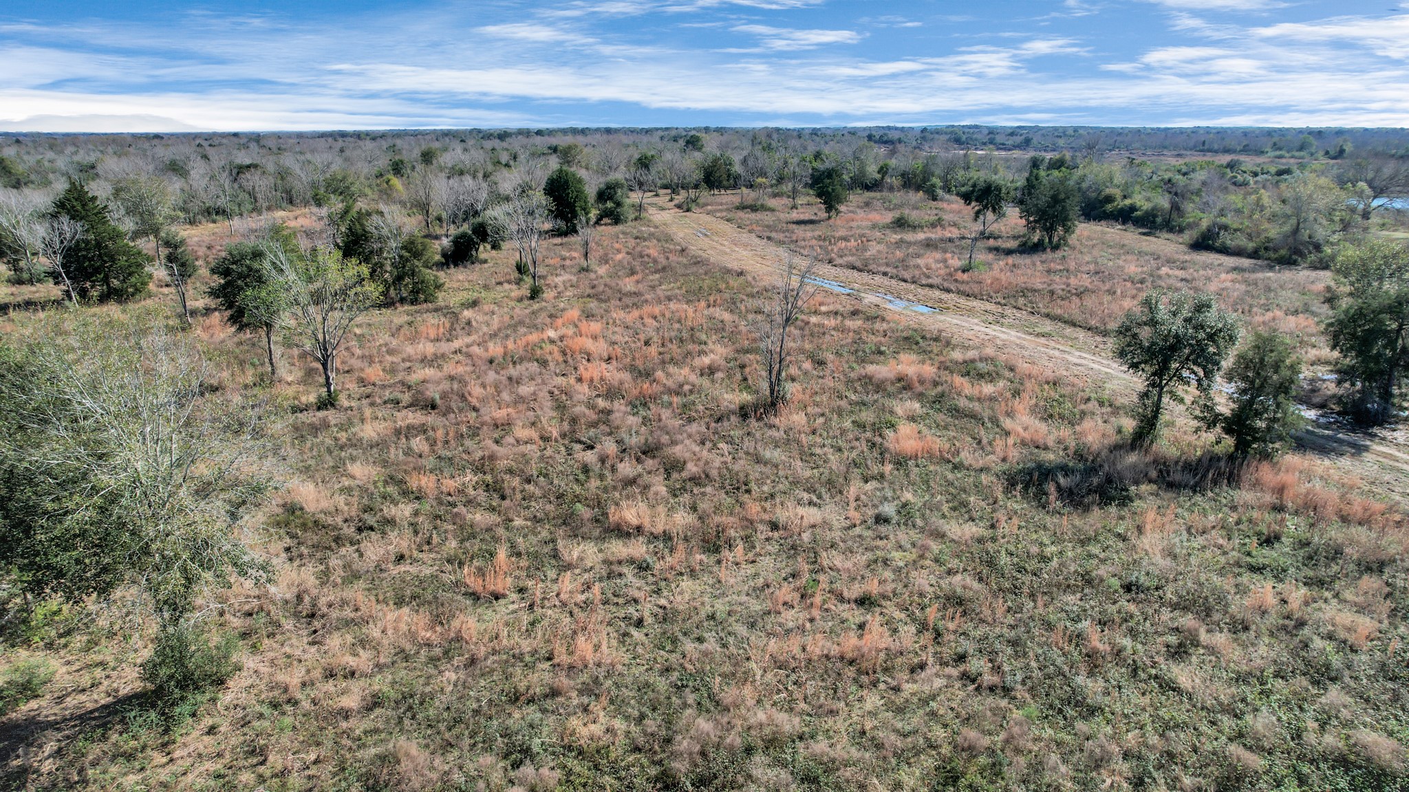 10 Fm 2403 Alvin, TX 77511 - Photo 30 of 48 a view of a dry yard with wooden fence