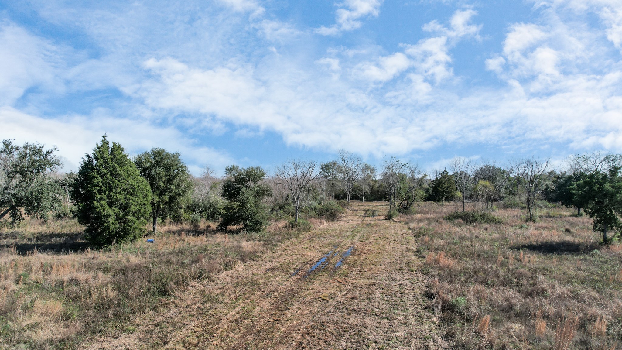 10 Fm 2403 Alvin, TX 77511 - Photo 31 of 48 a view of a dry yard with trees