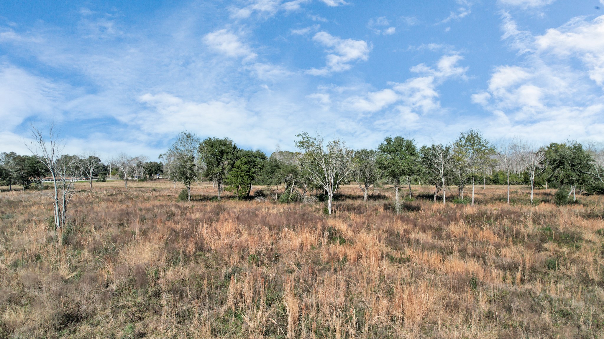 10 Fm 2403 Alvin, TX 77511 - Photo 32 of 48 a view of a field of grass and trees