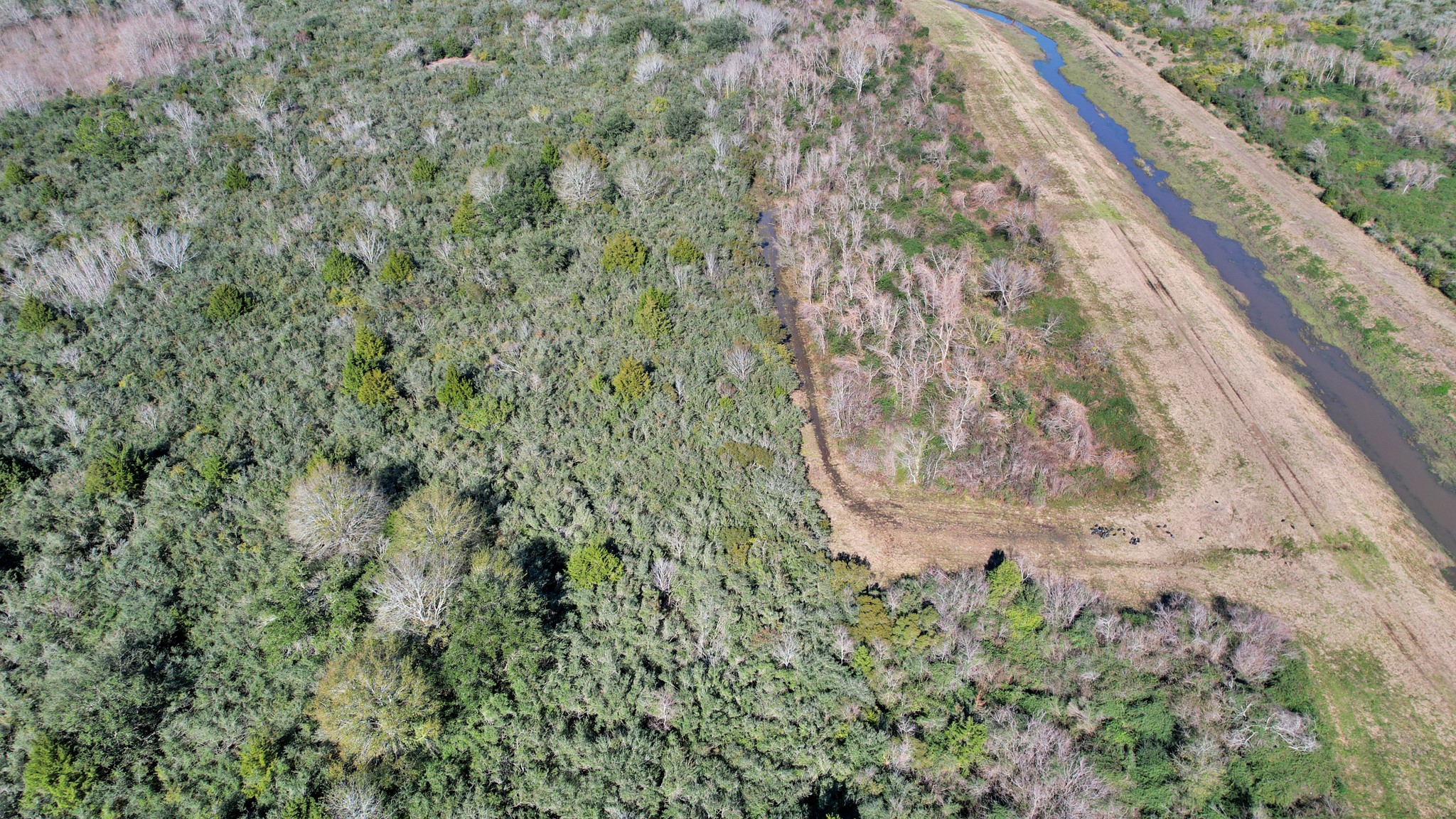 10 Fm 2403 Alvin, TX 77511 - Photo 34 of 48 a view of a yard with a dry yard