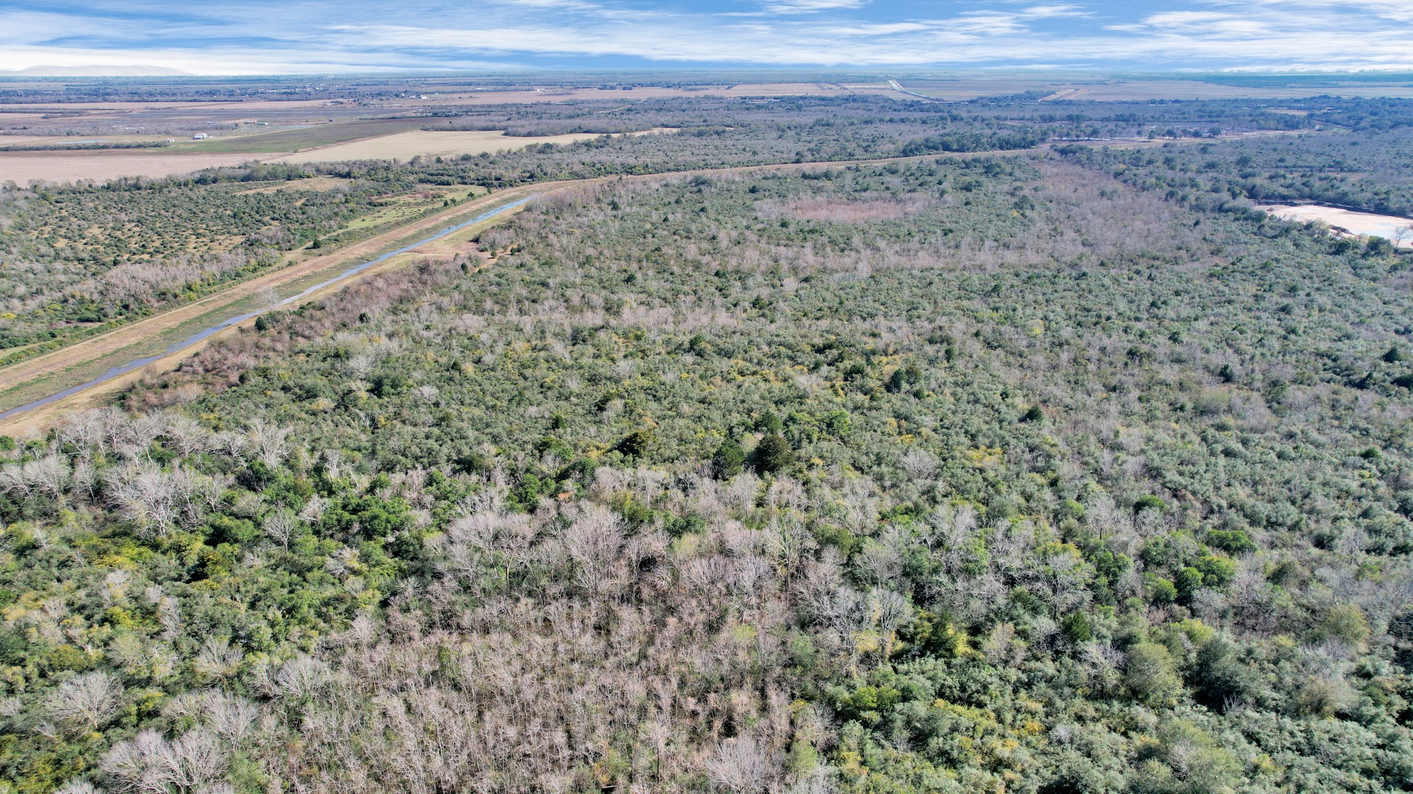 10 Fm 2403 Alvin, TX 77511 - Photo 37 of 48 a view of a yard with an outdoor space
