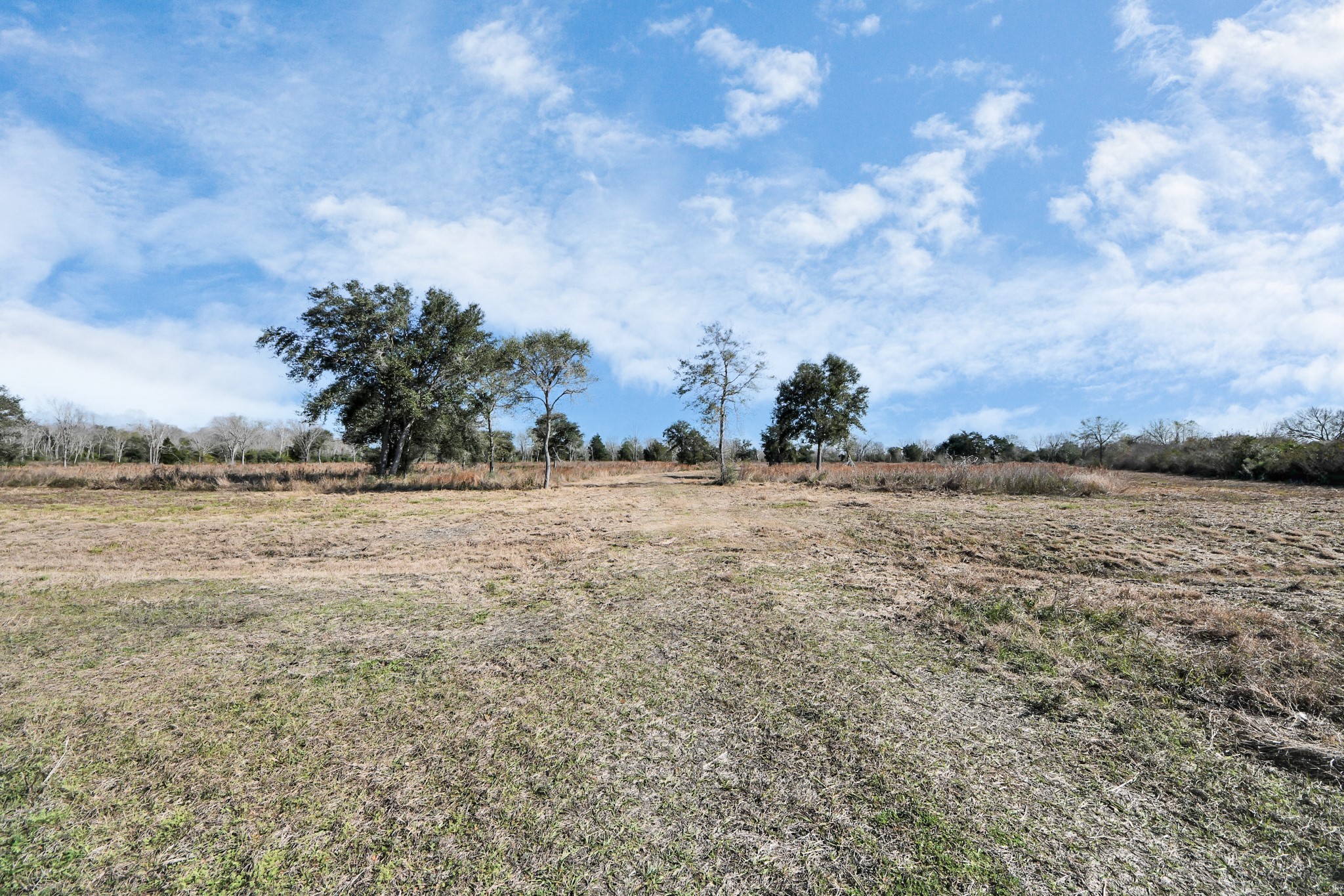 10 Fm 2403 Alvin, TX 77511 - Photo 39 of 48 a view of ocean