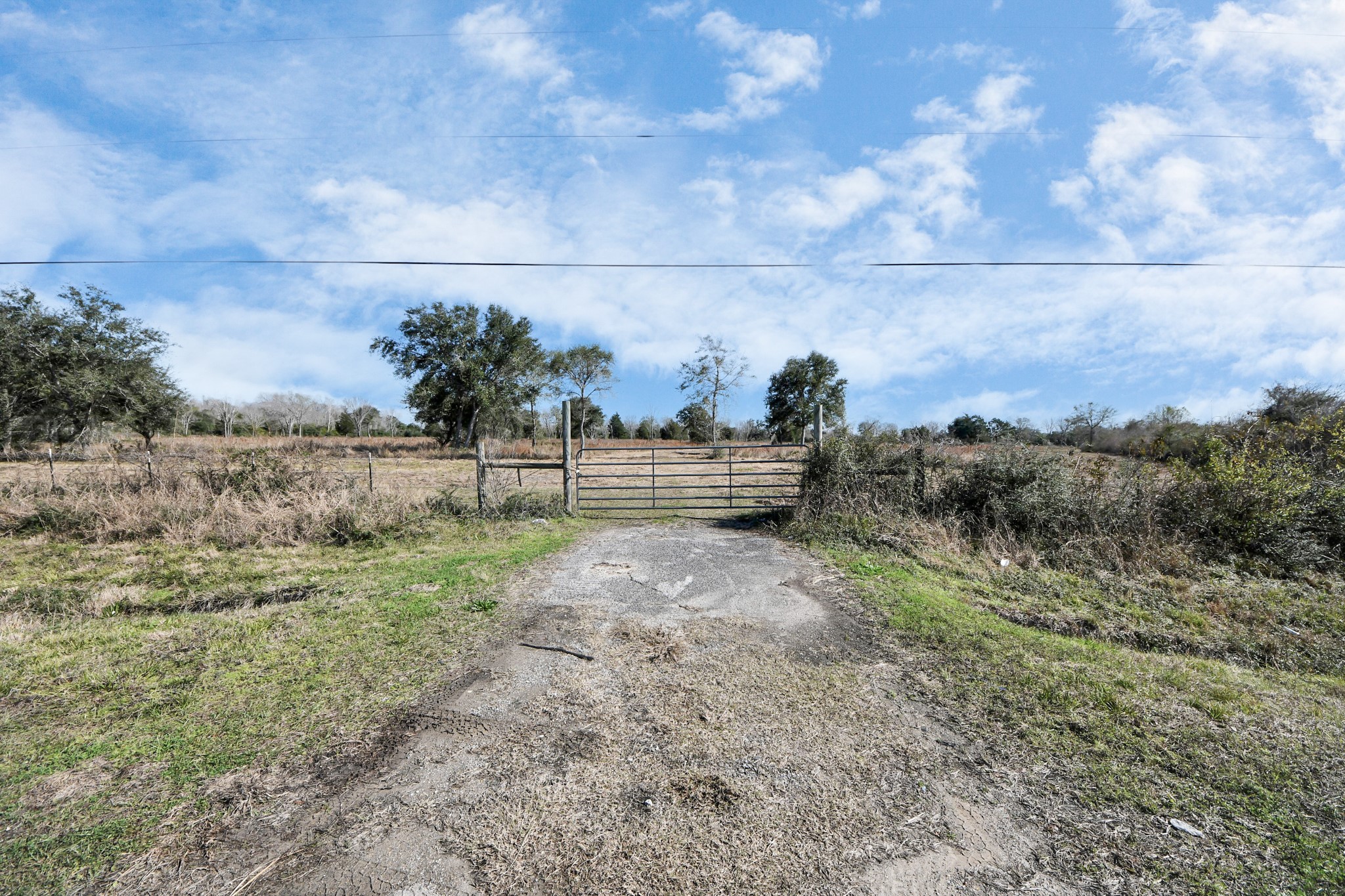 10 Fm 2403 Alvin, TX 77511 - Photo 40 of 48 a view of a yard