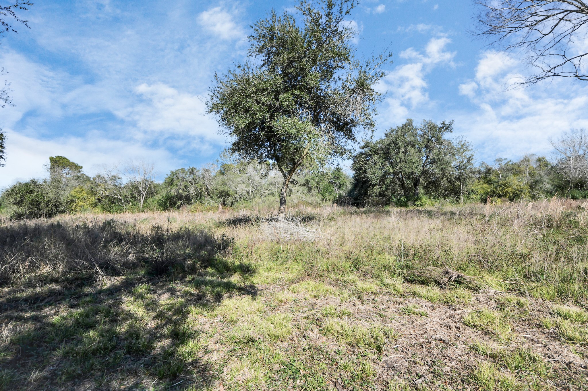 10 Fm 2403 Alvin, TX 77511 - Photo 41 of 48 a view of a field of grass and trees
