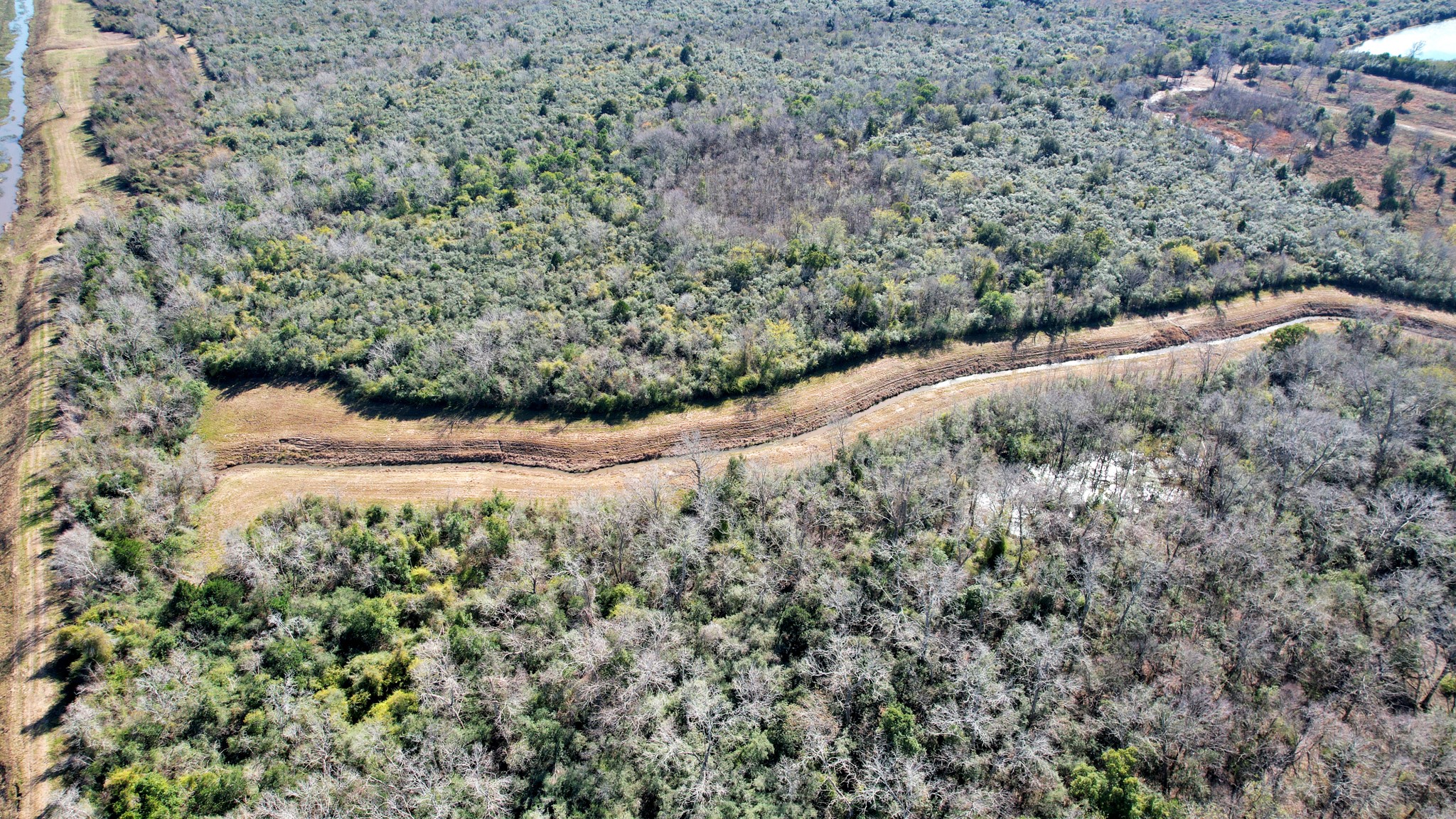 10 Fm 2403 Alvin, TX 77511 - Photo 42 of 48 a view of a forest with a tree