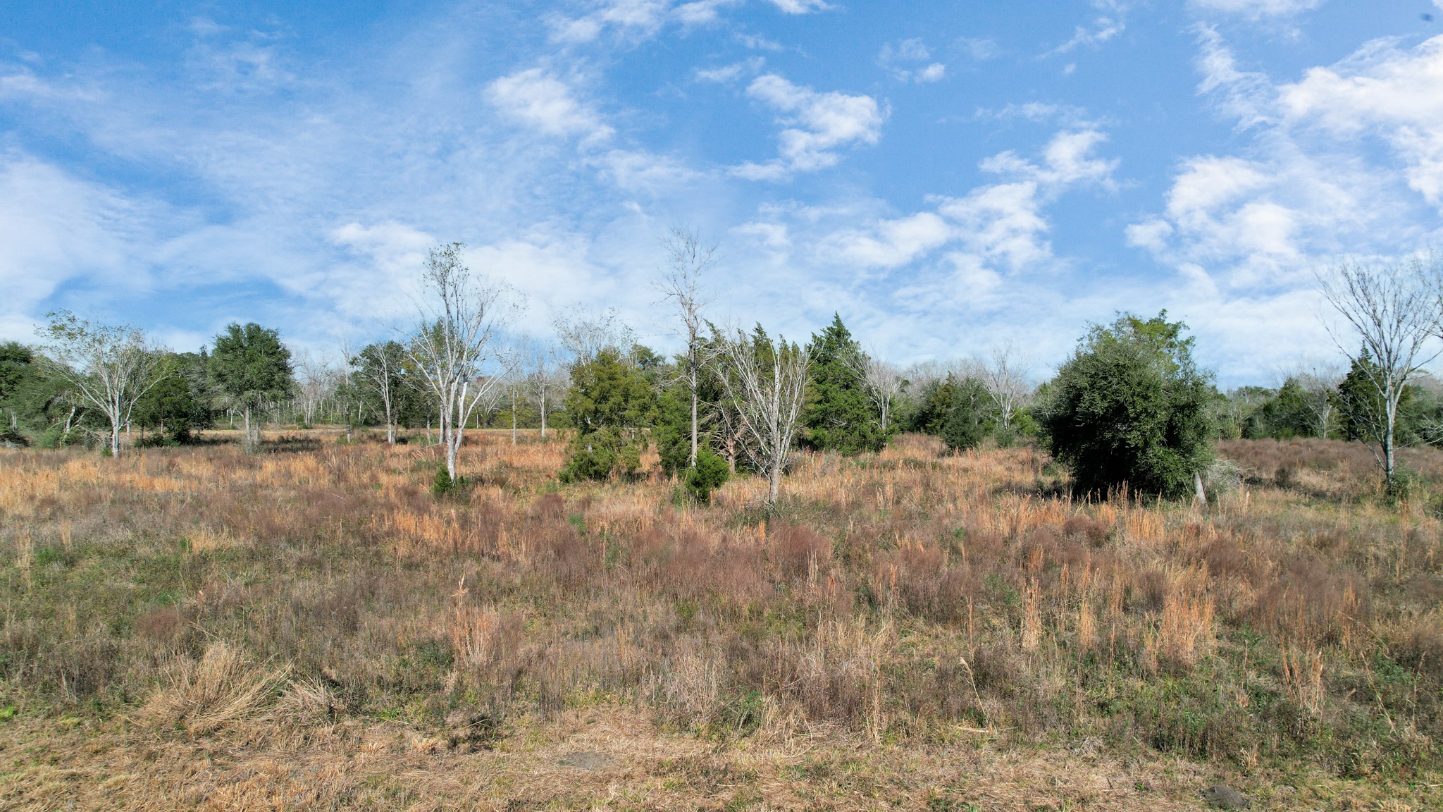 10 Fm 2403 Alvin, TX 77511 - Photo 43 of 48 a view of a green field