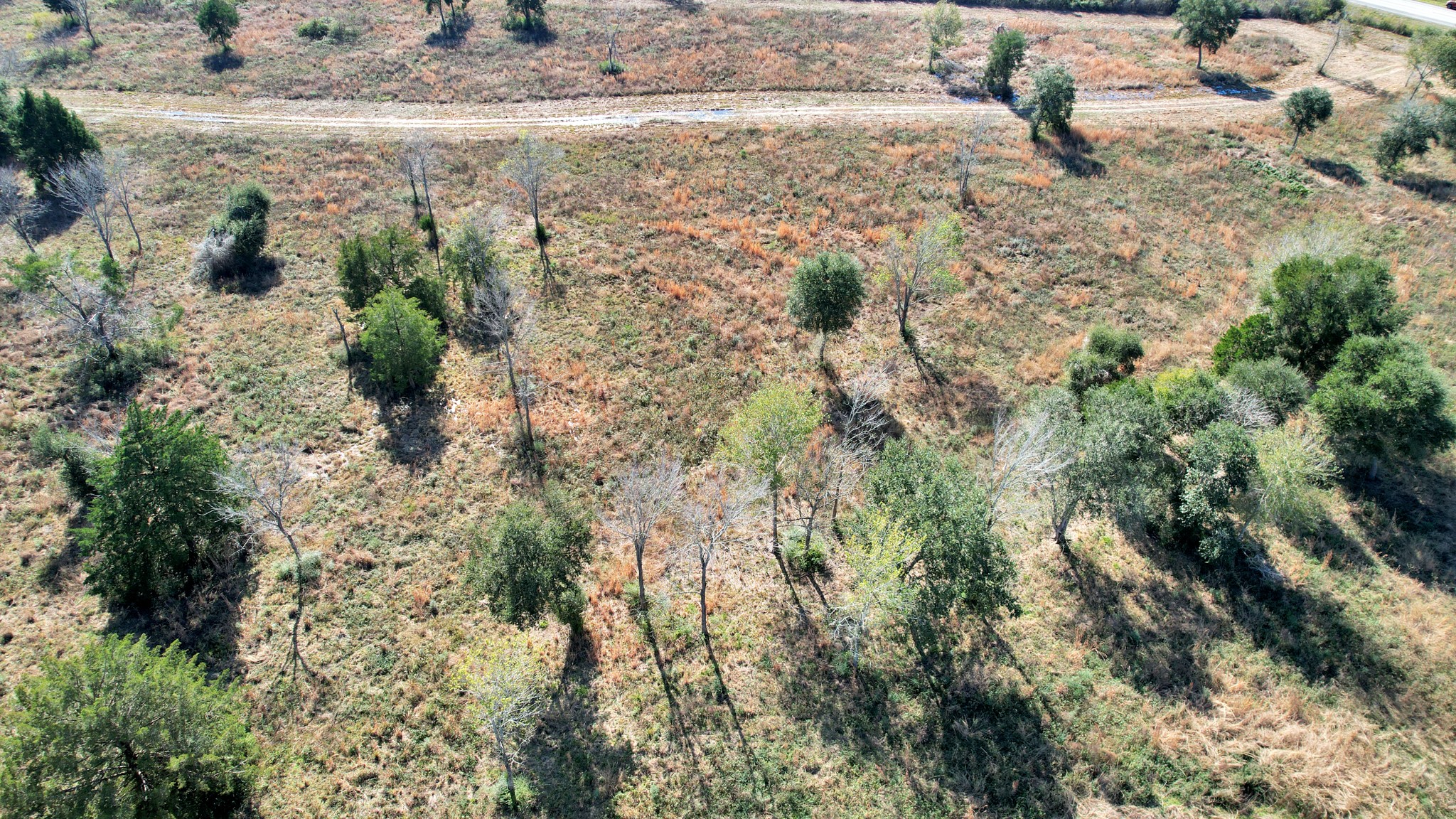10 Fm 2403 Alvin, TX 77511 - Photo 9 of 48 a view of a dry yard with lots of green space