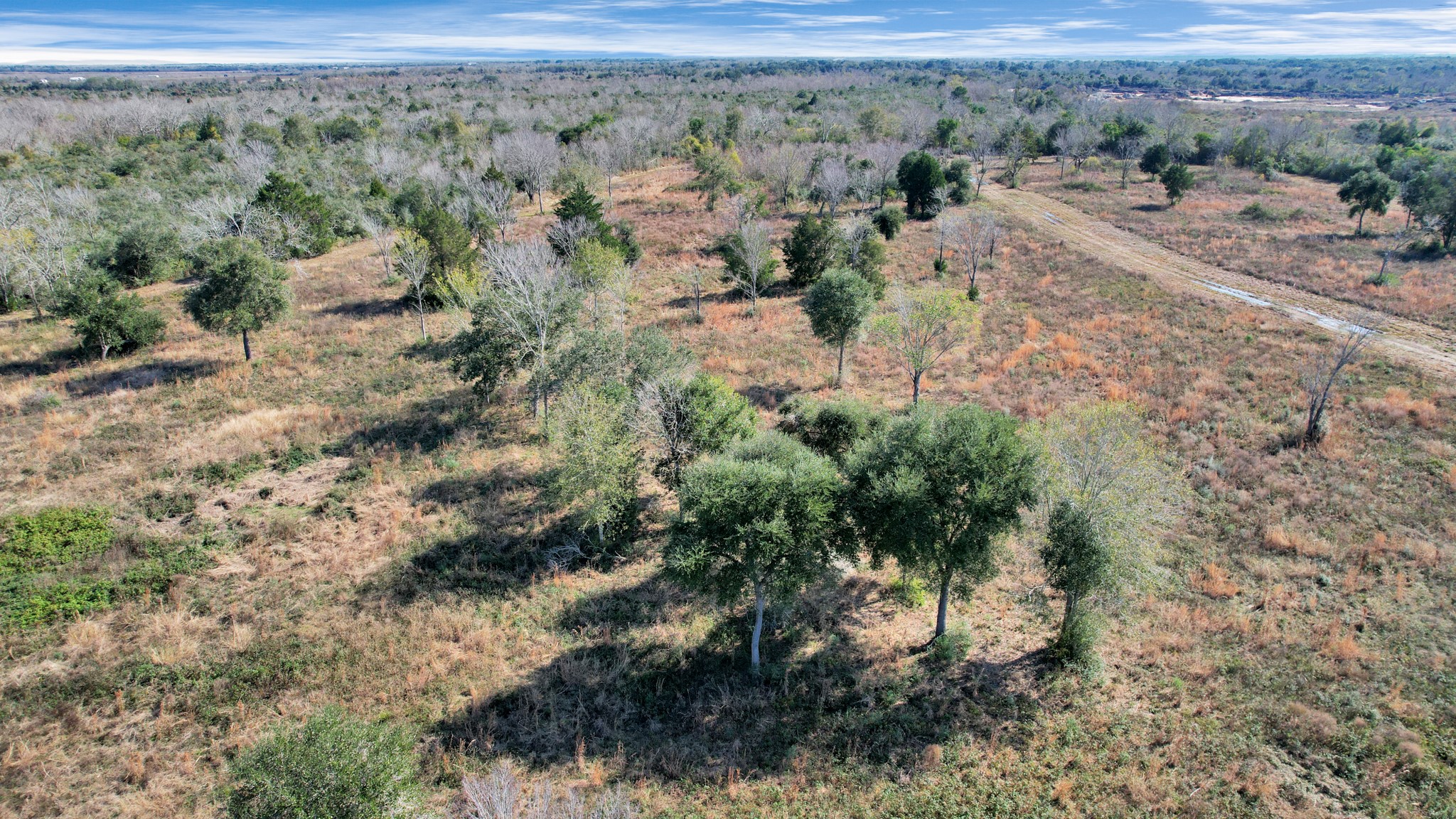 10 Fm 2403 Alvin, TX 77511 - Photo 10 of 48 a view of a yard with a tree