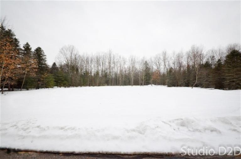 9213 Shady Ridge Drive, Unit 47 Sparta, MI 49345 - Photo 11 of 16 Additional Photo