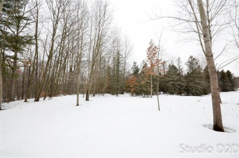 9213 Shady Ridge Drive, Unit 47 Sparta, MI 49345 - Photo 12 of 16 Additional Photo