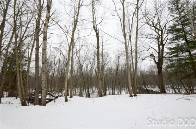 9213 Shady Ridge Drive, Unit 47 Sparta, MI 49345 - Photo 13 of 16 Additional Photo