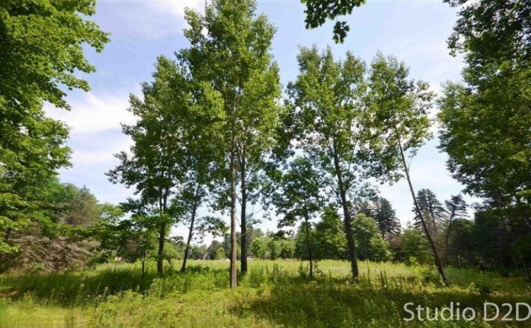 9213 Shady Ridge Drive, Unit 47 Sparta, MI 49345 - Photo 5 of 16 Additional Photo