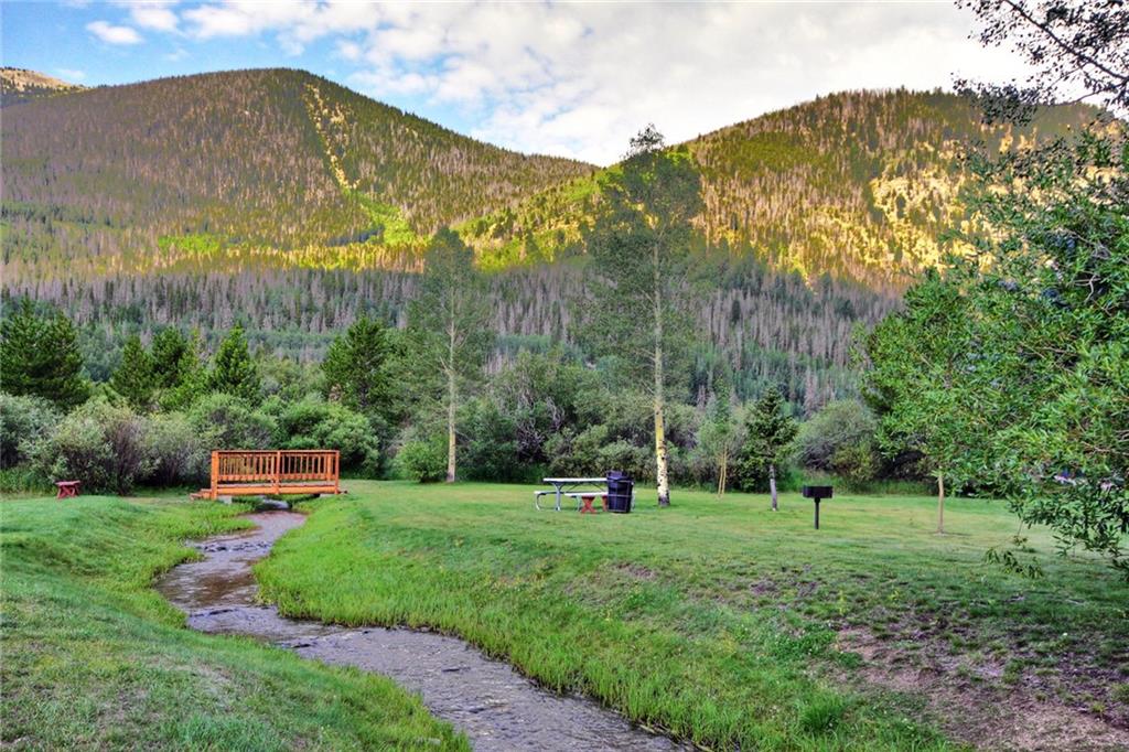 570 Bills Ranch Road, Unit 235 Frisco, CO 80443 - Photo 6 of 25 a view of a garden with a large tree