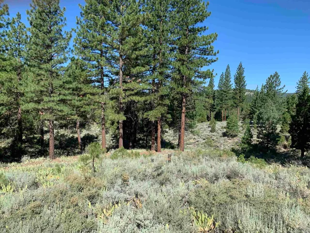 a view of outdoor space and trees