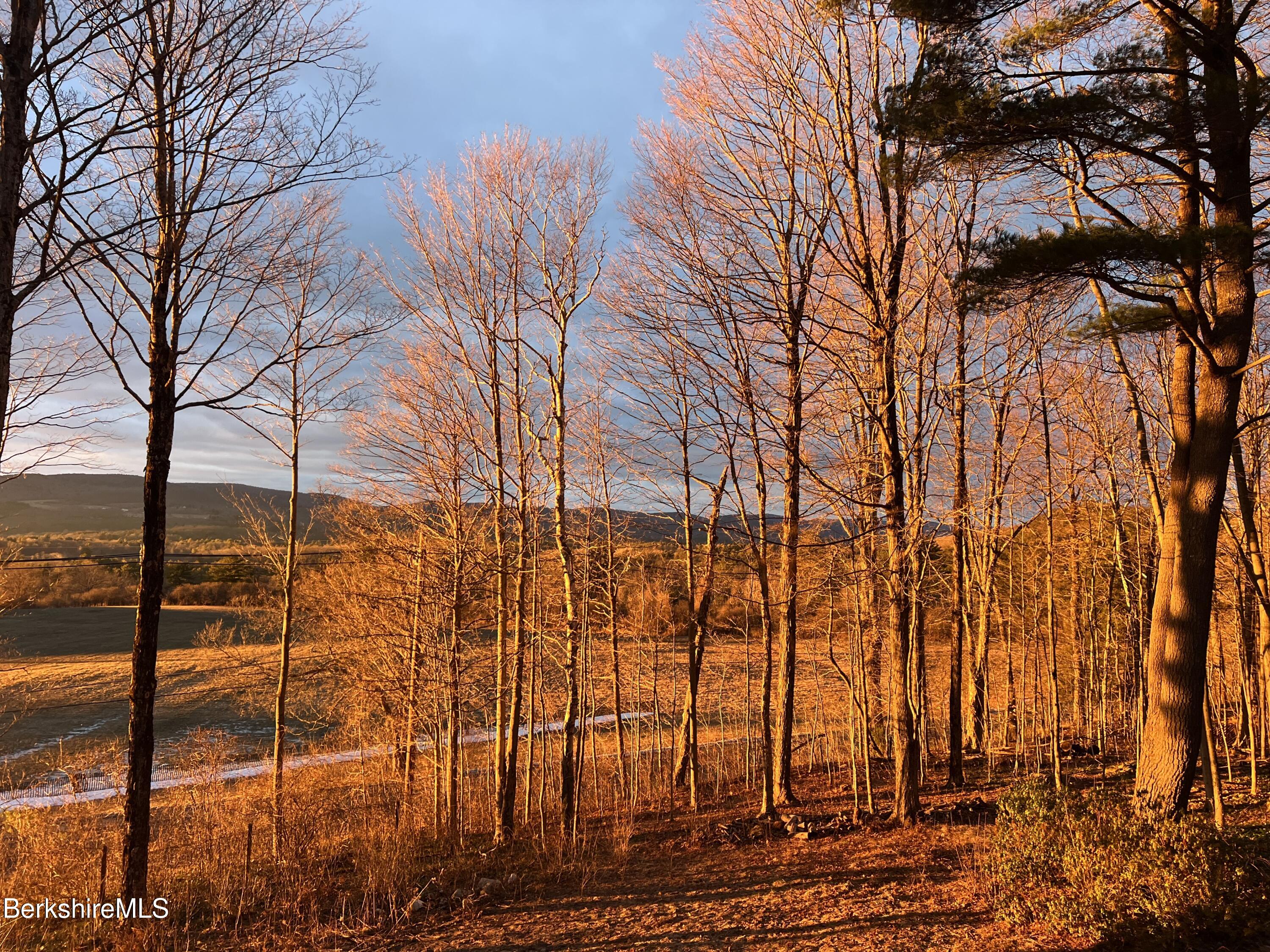 15 Reservoir Road Richmond, MA 01254 - Photo 8 of 36 15_fall sun view 2