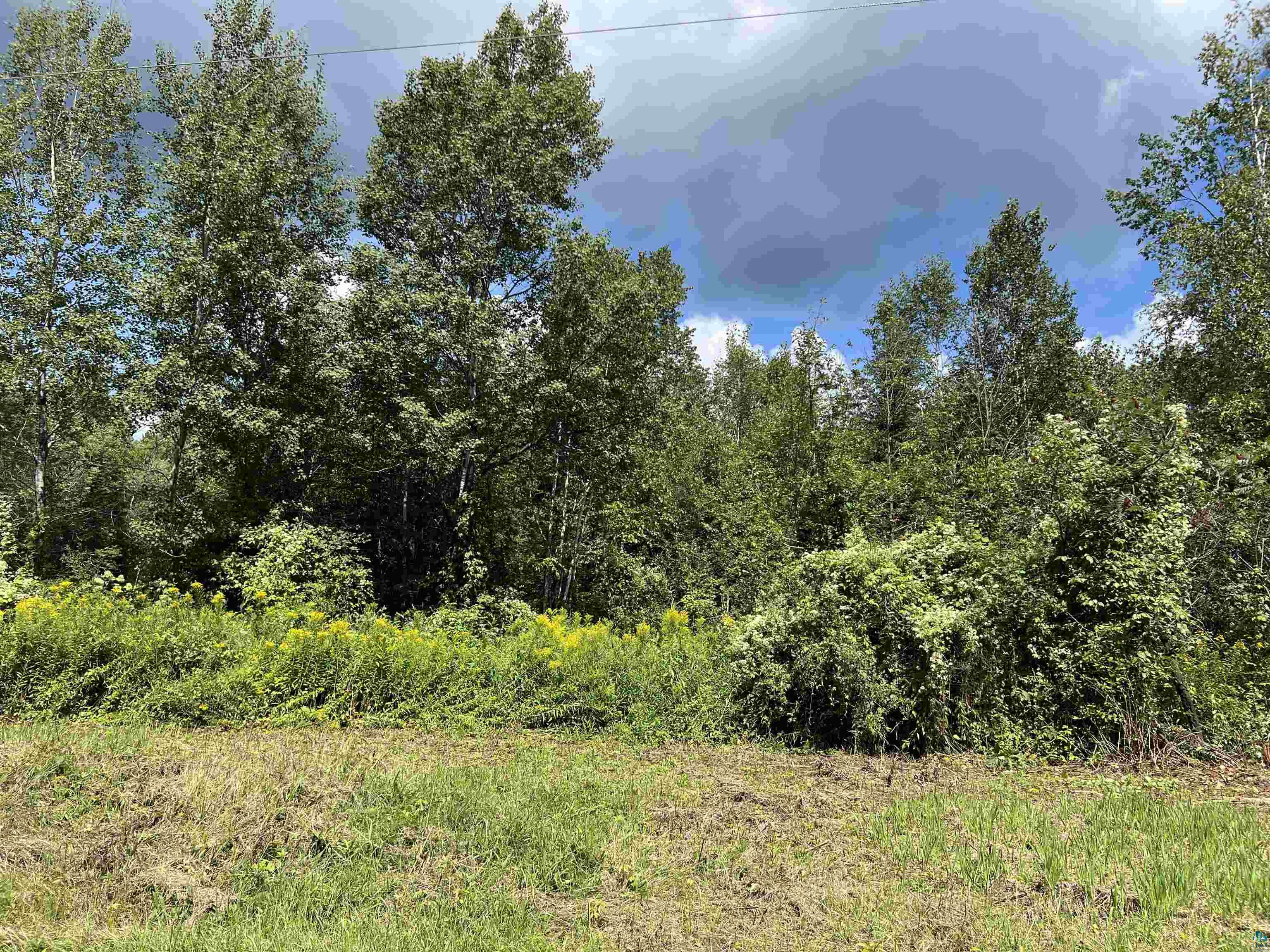 46835 Behan Drive Cable, WI 54821 - Photo 42 of 42 View of landscape