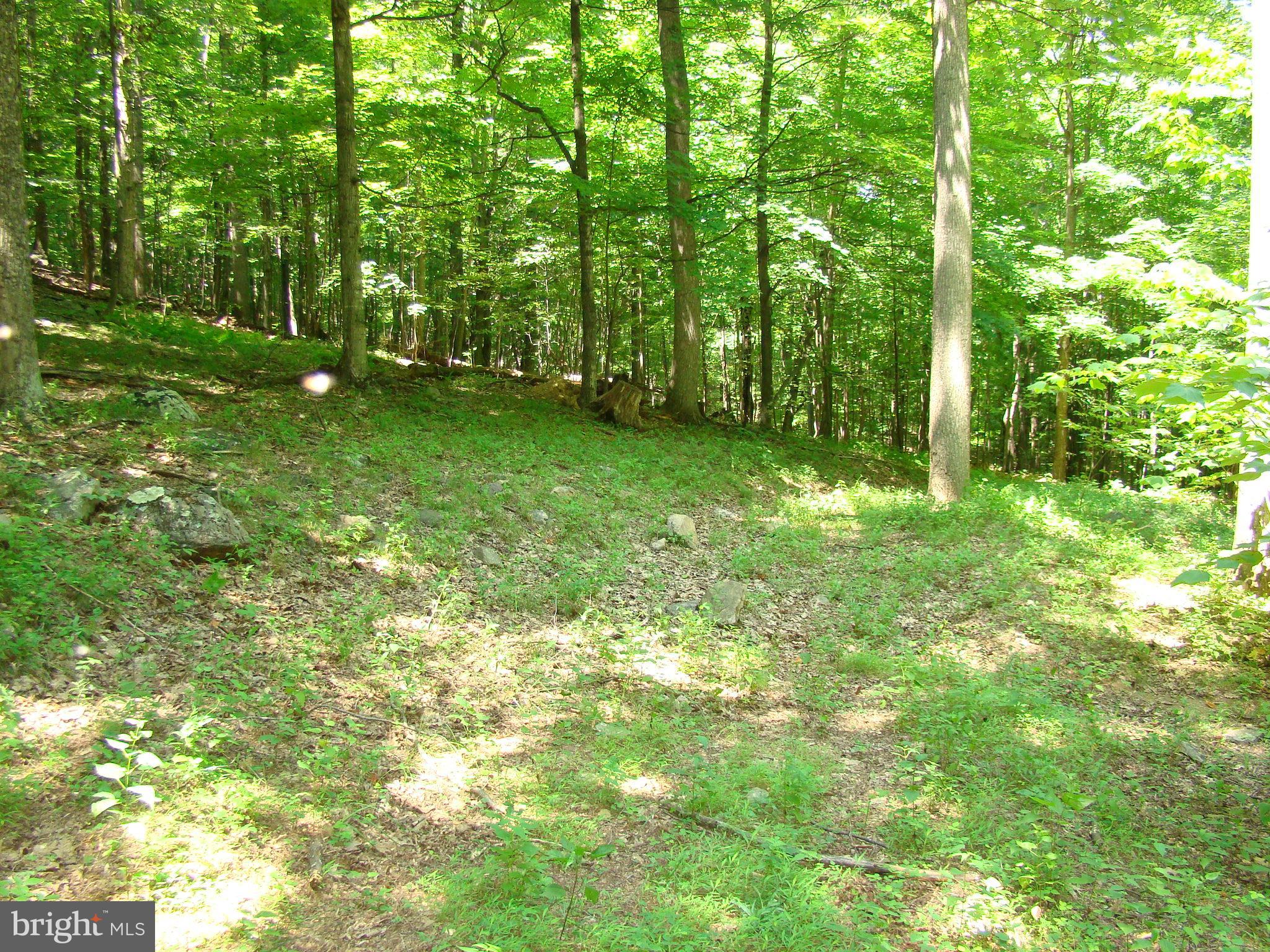 0 Crooked Run Road North Basye, VA 22810 - Photo 6 of 9 a view of yard with green space and trees in the background