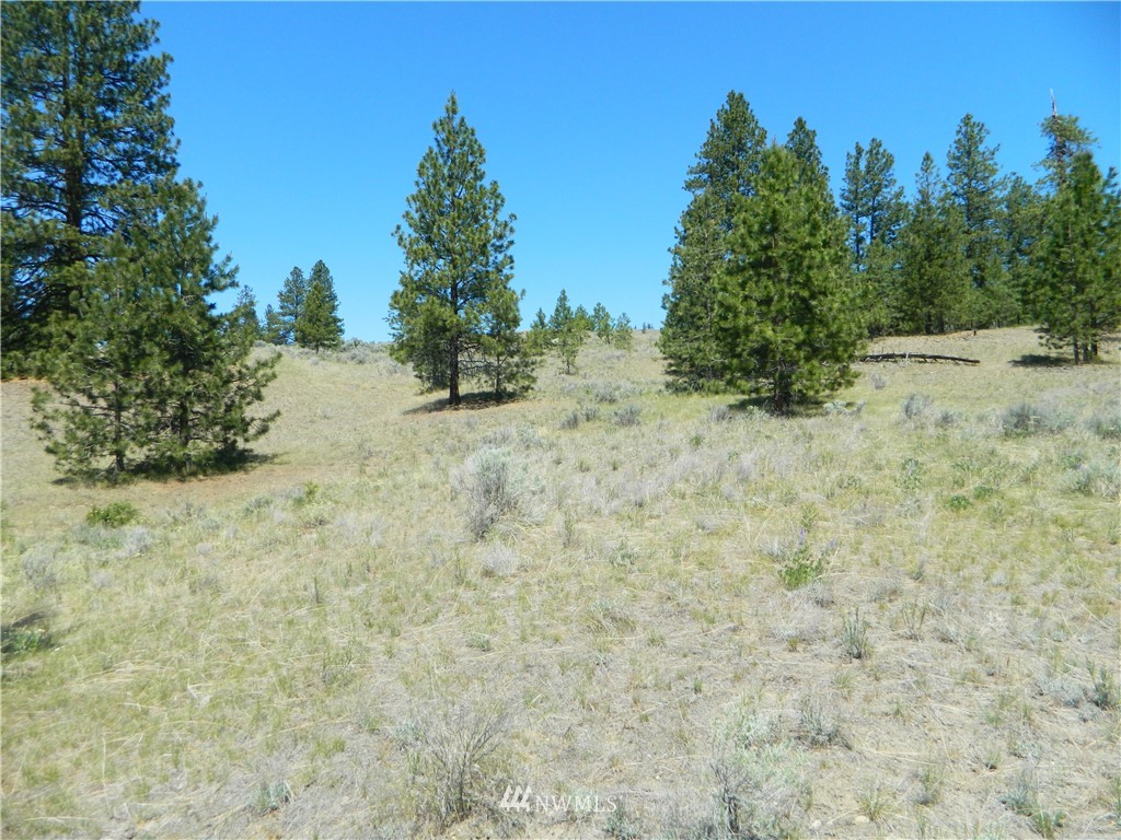 -tbd Neil Circle Road South Tonasket, WA 98855 - Photo 14 of 17