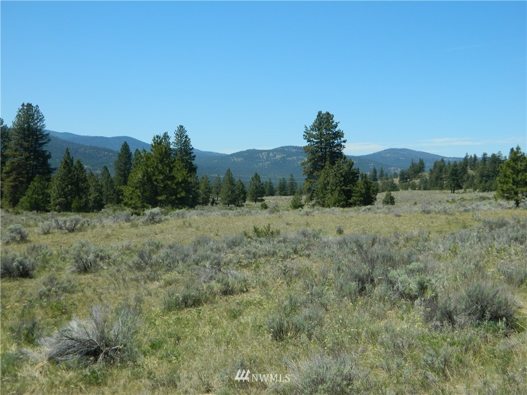 -tbd Neil Circle Road South Tonasket, WA 98855 - Photo 8 of 17