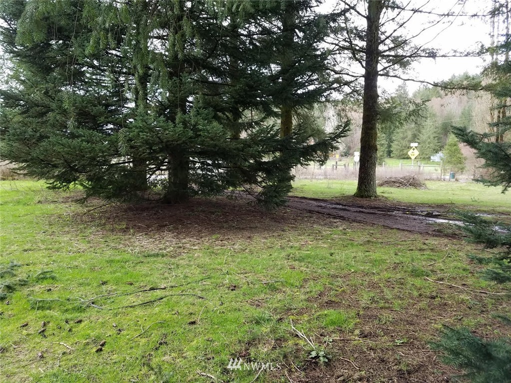 27005 Northeast Yacolt Road Yacolt, WA 98675 - Photo 5 of 5 Gallery Image 5