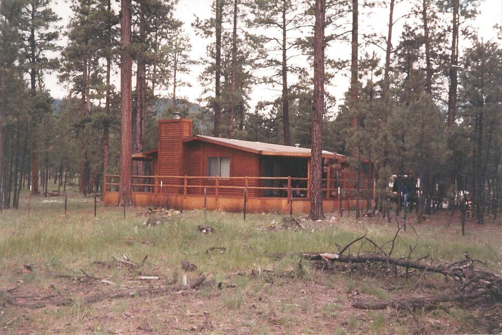 0 End Of County Road Alpine, AZ 85920 - Photo 4 of 17