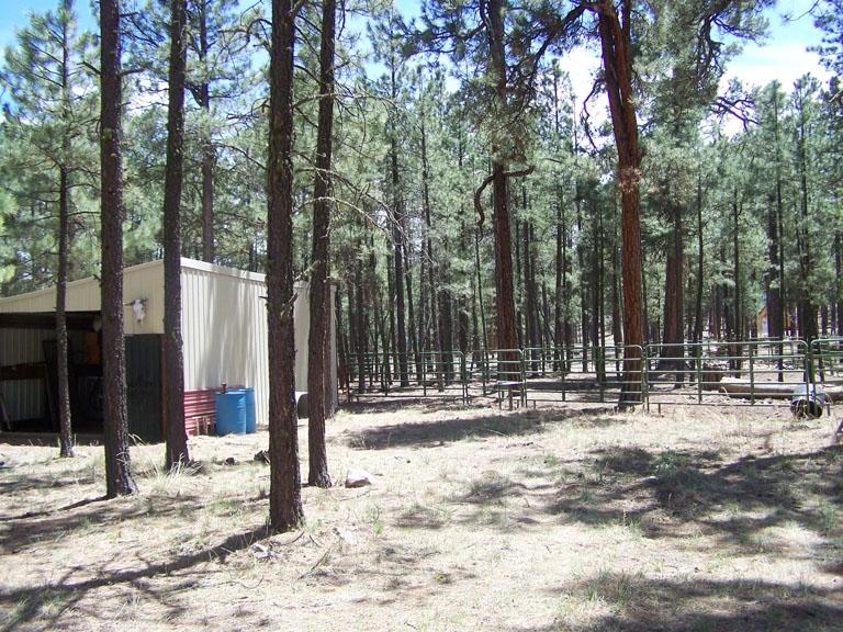 0 End Of County Road Alpine, AZ 85920 - Photo 5 of 17
