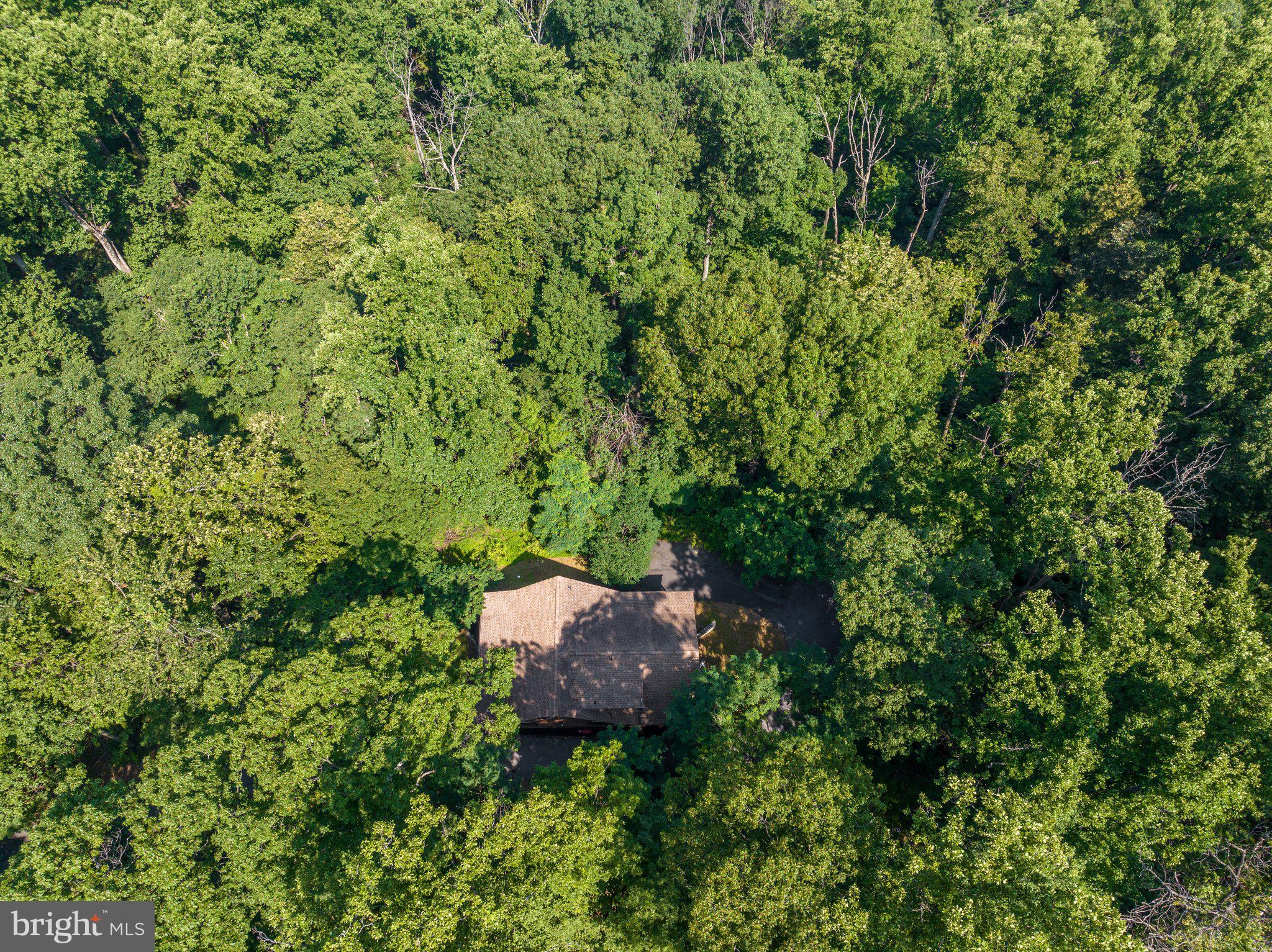 399 Salt Lick Road Front Royal, VA 22630 - Photo 32 of 42 Gallery Image 32