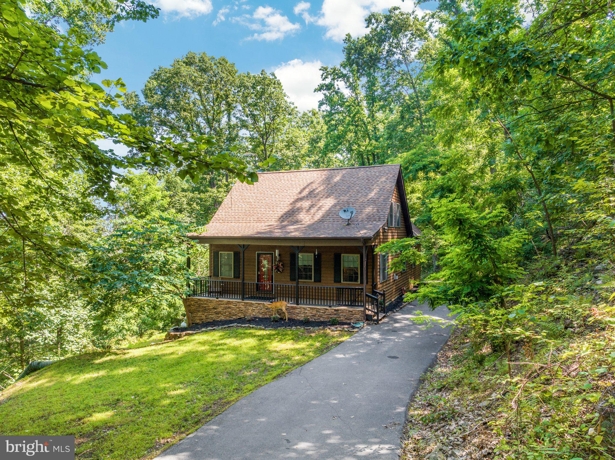 399 Salt Lick Road Front Royal, VA 22630 - Photo 34 of 42 Gallery Image 34