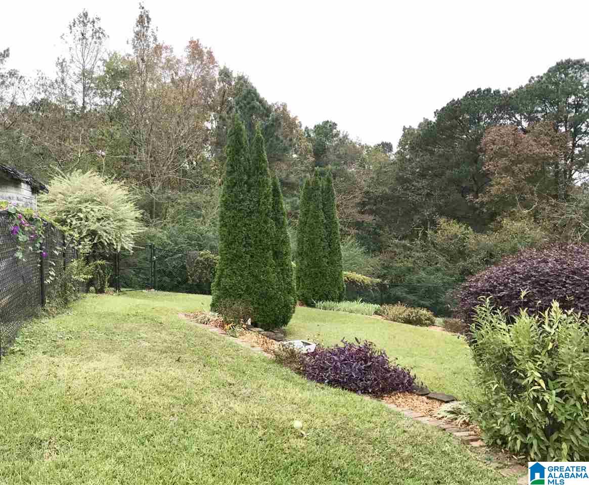 6761 Highway 10 Montevallo, AL 35115 - Photo 21 of 45
