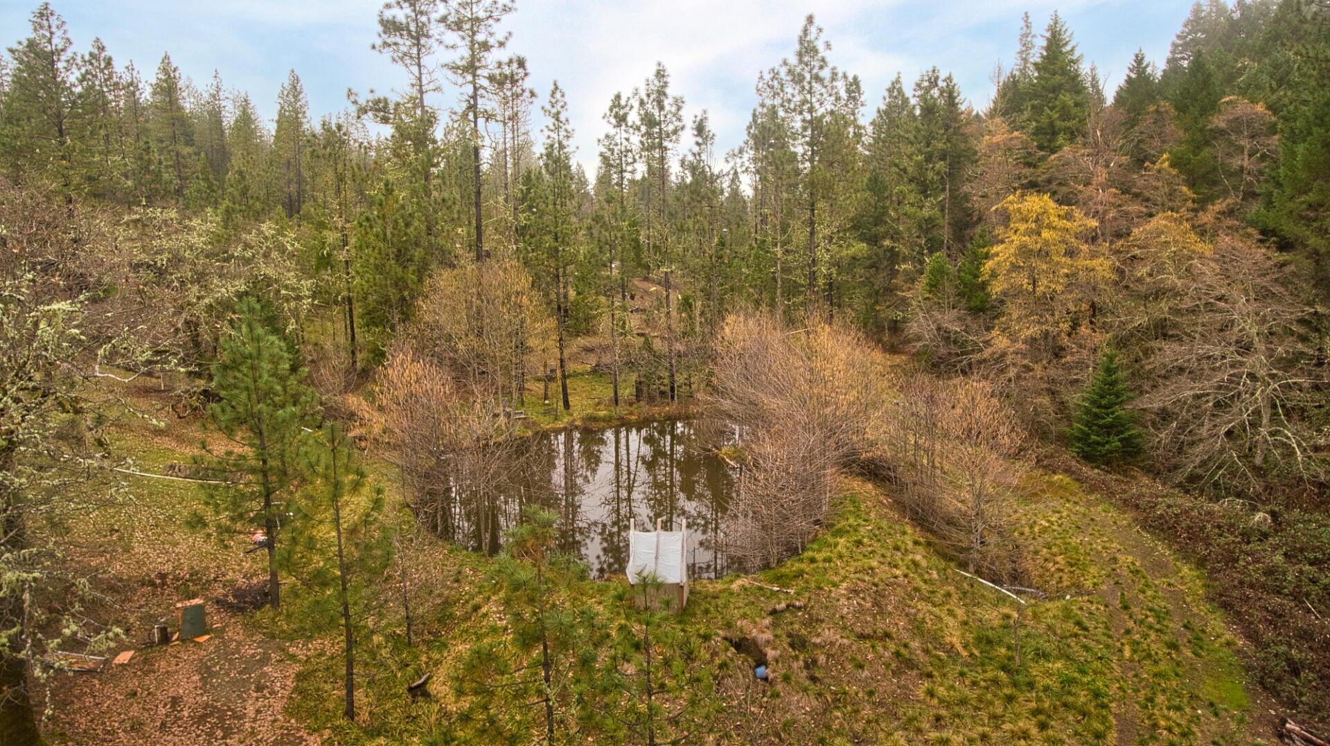 621 Gold Canyon Road Selma, OR 97538 - Photo 10 of 13 20240201203152887447000000-o (1)