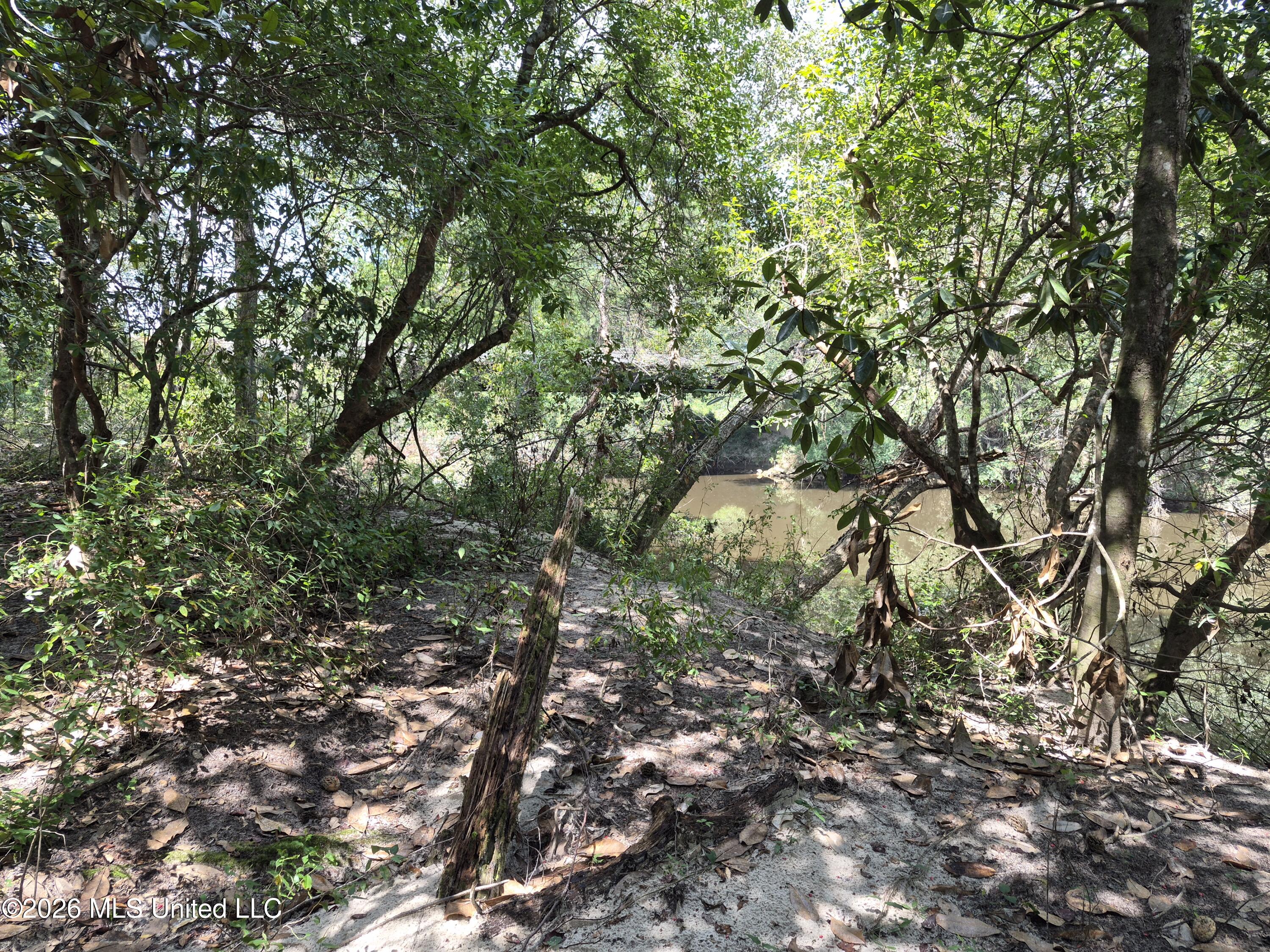 13756 River Road Gulfport, MS 39503 - Photo 26 of 93 Water Frontage