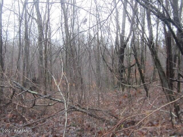 0 Parker Road Monterey, TN 38574 - Photo 11 of 16 Gallery Image 11