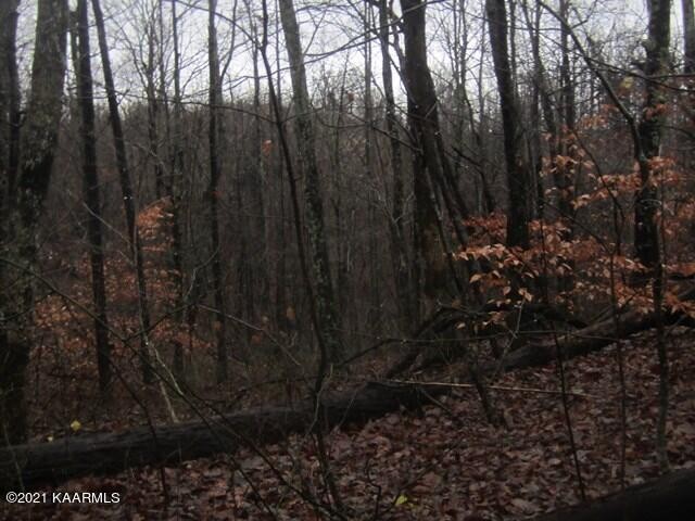 0 Parker Road Monterey, TN 38574 - Photo 12 of 16 Gallery Image 12