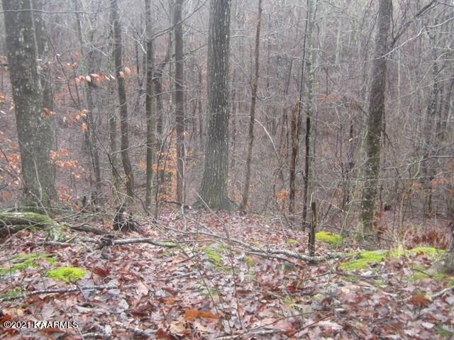 0 Parker Road Monterey, TN 38574 - Photo 14 of 16 Gallery Image 14