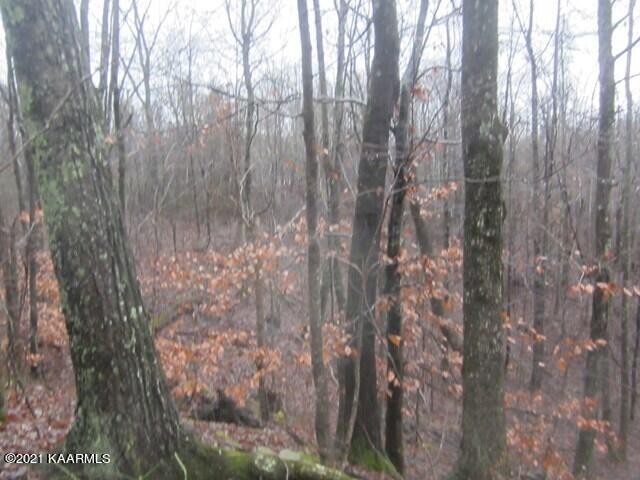 0 Parker Road Monterey, TN 38574 - Photo 15 of 16 Gallery Image 15