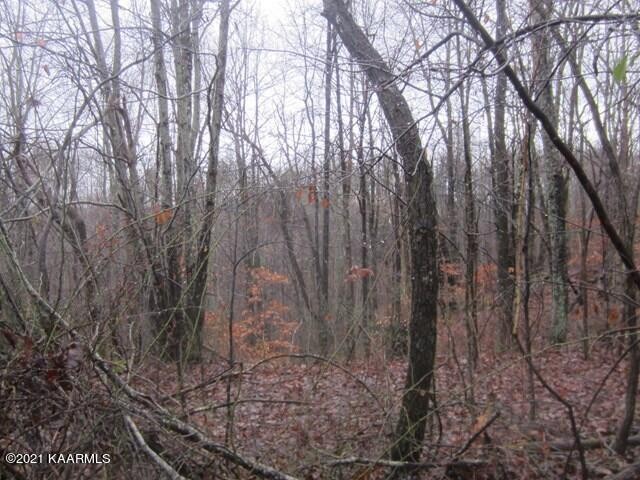 0 Parker Road Monterey, TN 38574 - Photo 16 of 16 Gallery Image 16
