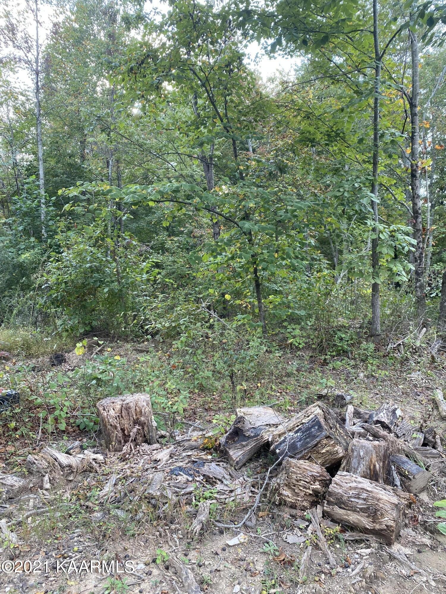 0 Parker Road Monterey, TN 38574 - Photo 2 of 16 Gallery Image 2