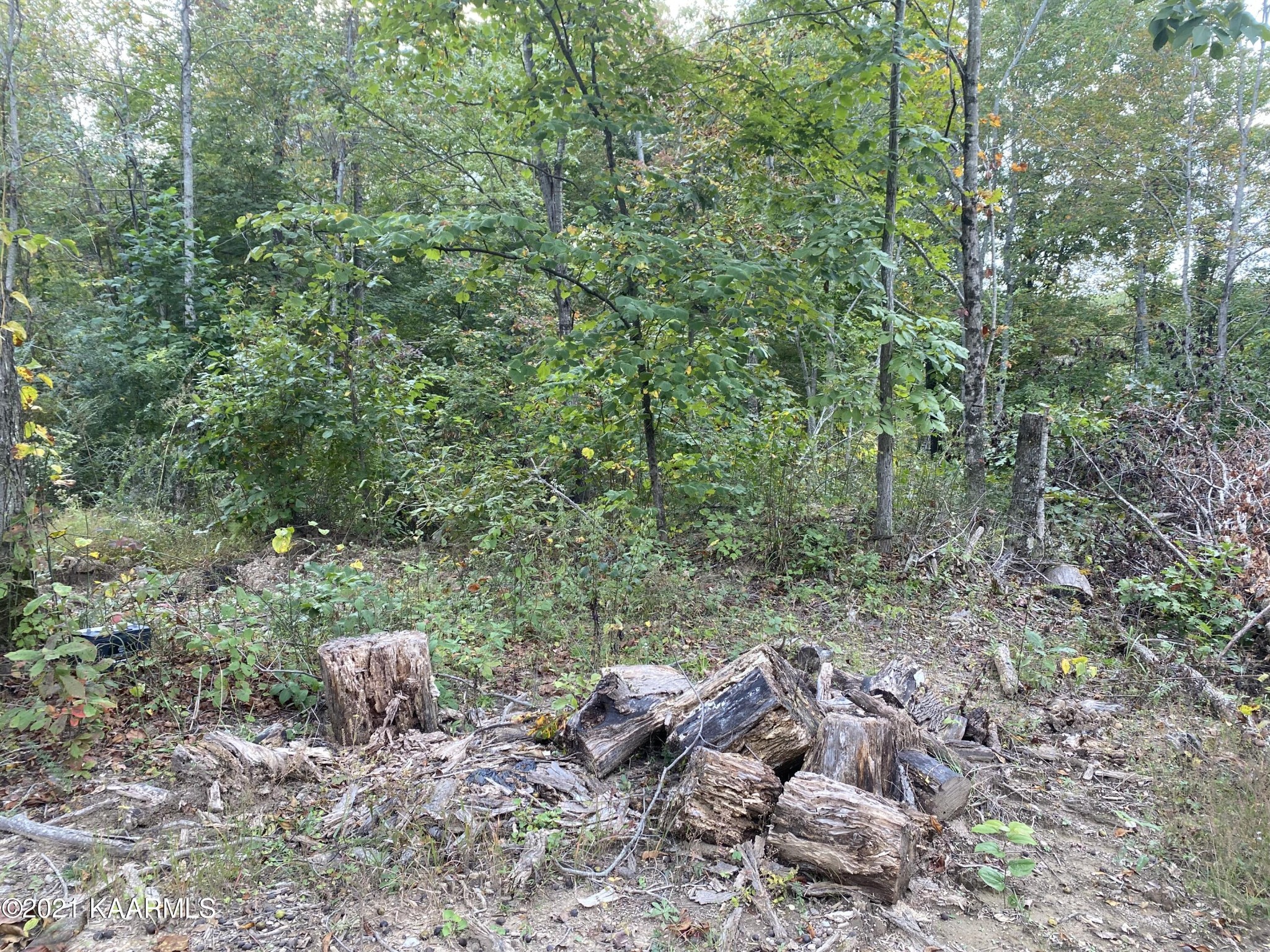 0 Parker Road Monterey, TN 38574 - Photo 3 of 16 Gallery Image 3