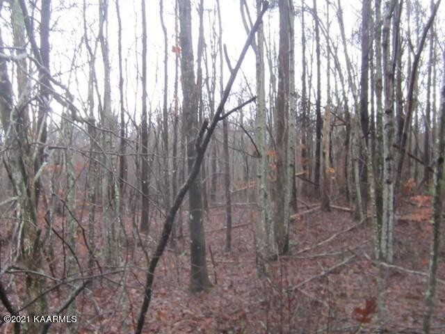 0 Parker Road Monterey, TN 38574 - Photo 7 of 16 Gallery Image 7