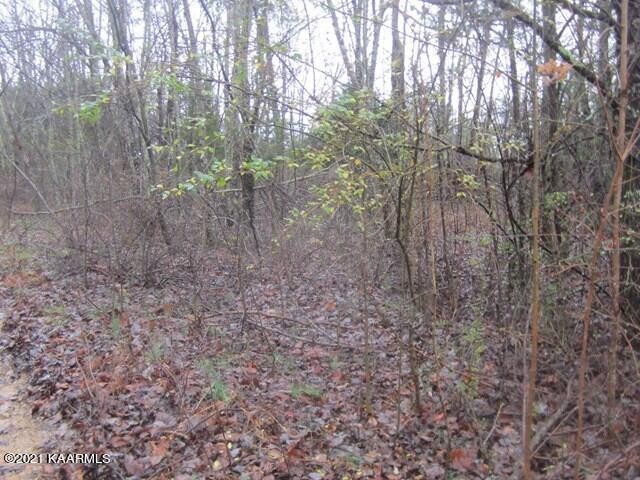 0 Parker Road Monterey, TN 38574 - Photo 8 of 16 Gallery Image 8